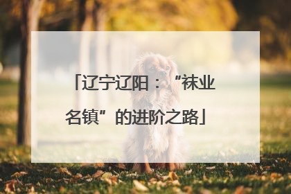 辽宁辽阳：“袜业名镇”的进阶之路
